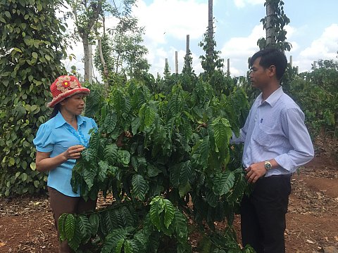 Hội viên cựu chiến binh xã Ea Kpam nêu gương sáng trong phát triển kinh tế gia đình